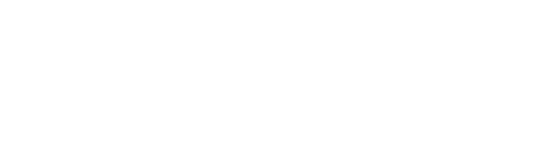 Logo Vigor